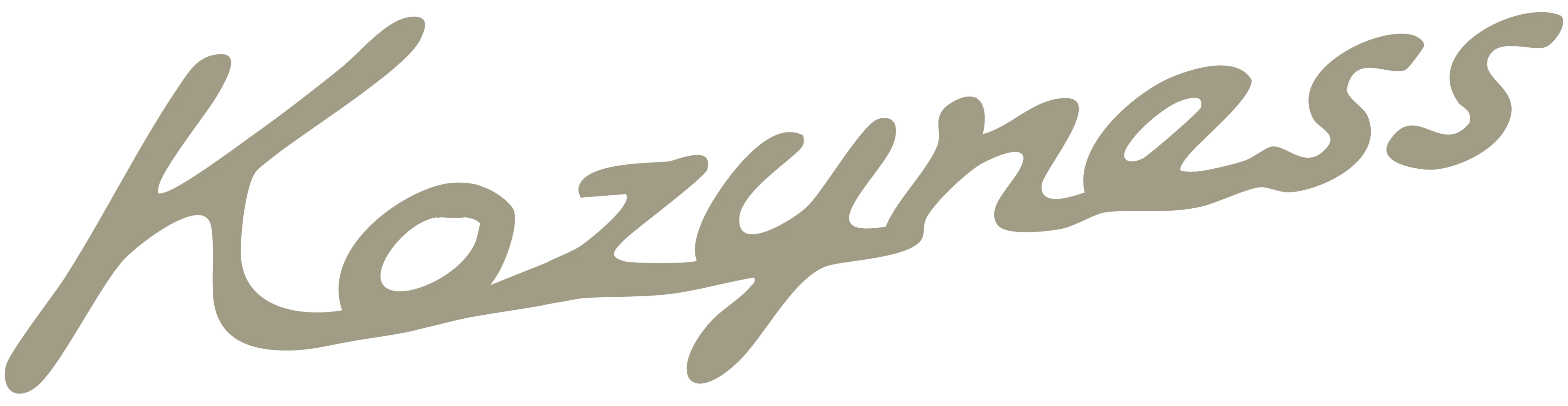 kozyness-shop